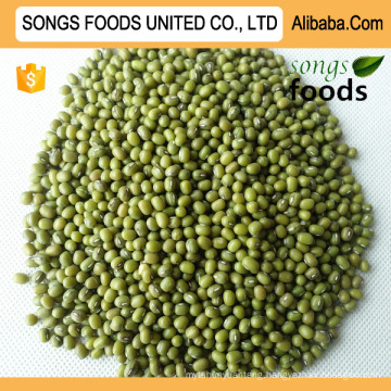 Bean Price Green Mung Beans New Crop